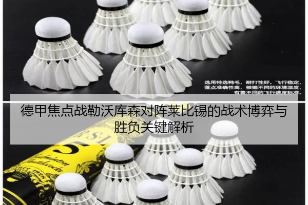 德甲焦点战勒沃库森对阵莱比锡的战术博弈与胜负关键解析